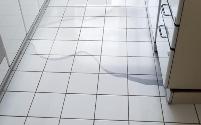 Causes of Dishwasher Leaks in Coppell