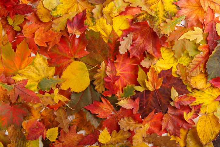 Your Fall HVAC Checklist